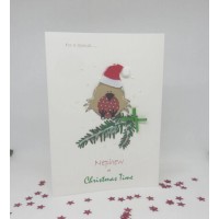 Resting Robin Christmas Card for Nephew
